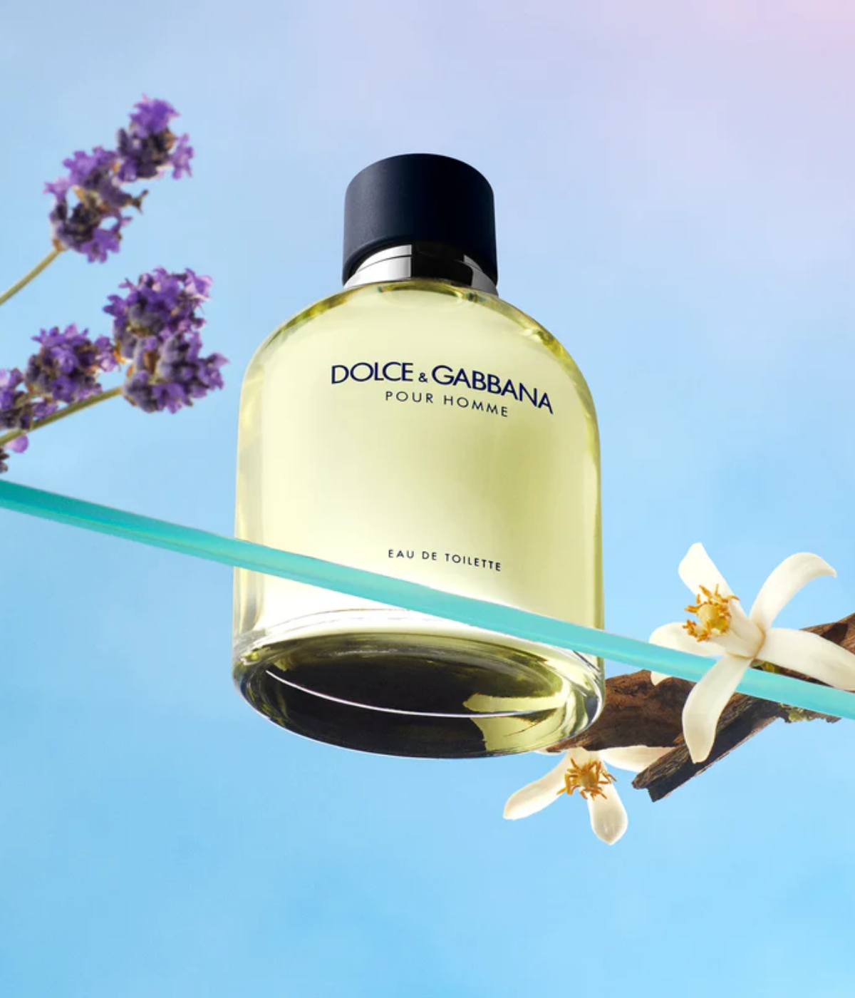 Perfume Pour Homme Dolce & Gabbana - Eau de Toilette 100ml